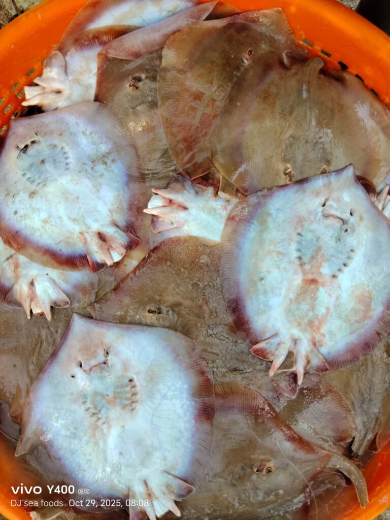 Thirukkai Meen