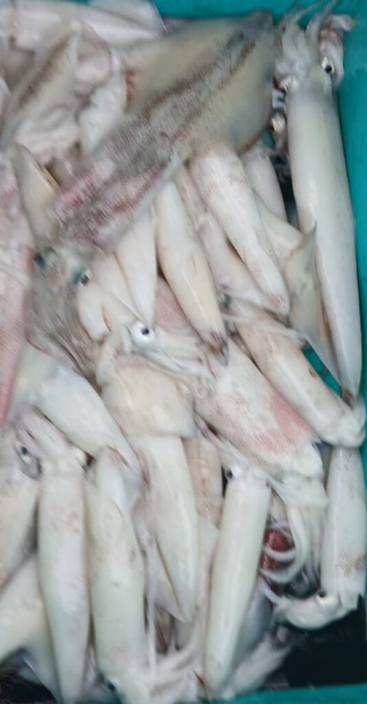 Kanava Meen
