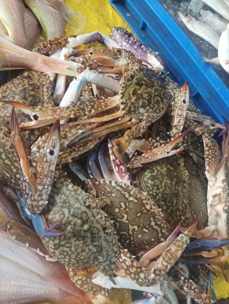 Blue Crab Nandu