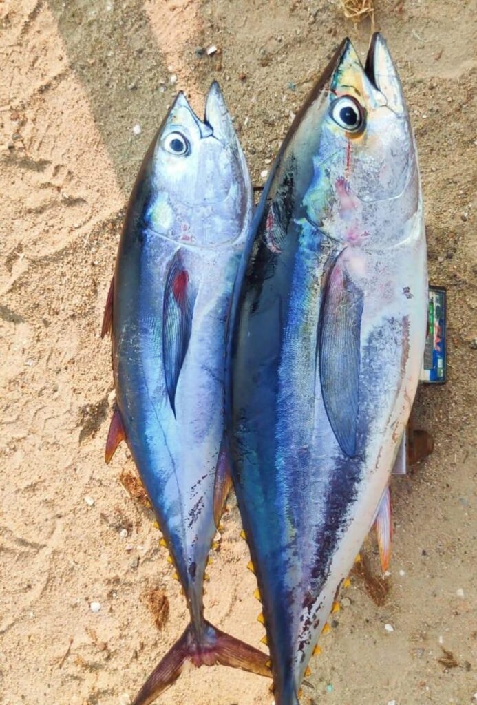 Soorai Meen