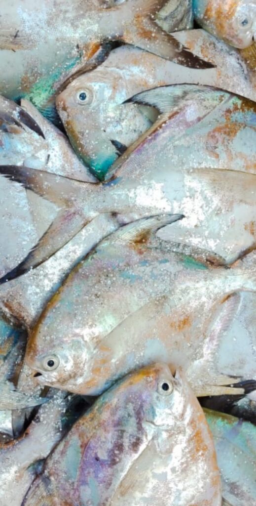 Vaaval Meen